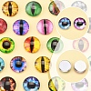 60Pcs Half Round with Eye Glass Cabochons GGLA-FS0001-16A-3