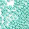Baking Paint Glass Seed Beads SEED-A032-02C-3