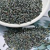 MIYUKI Delica Beads X-SEED-J020-DB2203-1