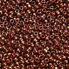TOHO 8/0 Round Beads SEED-TR08-1708-3