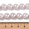 Electroplated Shell Pearl Beads Strands BSHE-G041-10mm-06-2
