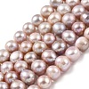Natural Cultured Freshwater Pearl Beads Strands PEAR-I007-07S-01B-2
