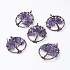 Natural Amethyst Pendants G-E419-03R-2