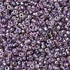 MIYUKI Round Rocailles Beads SEED-X0054-RR1012-2