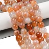 Natural Red Agate Beads Strands G-A248-A06-05-2