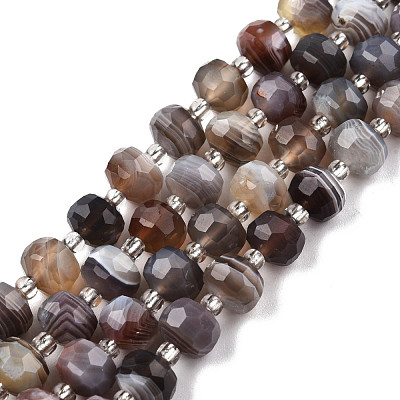 Natural Botswana Agate Beads Strands G-N327-08N-1