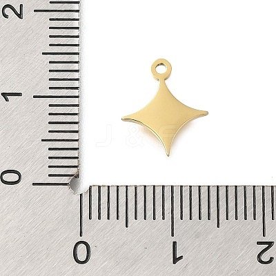 304 Stainless Steel Charms LS-STAS-U027-10G-03-1