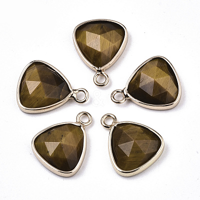 Natural Tiger Eye Charms G-N326-48B-1