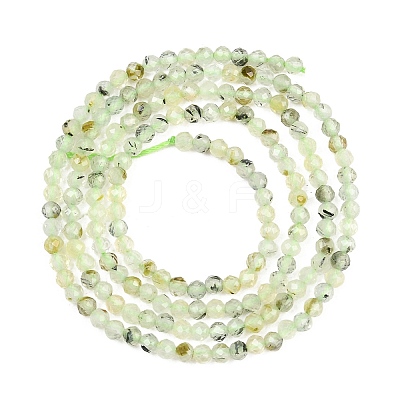 Natural Prehnite Beads Strands G-RM250104-A7-1