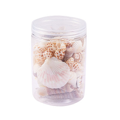 Natural Scallop Shell Beads SSHEL-CJ0001-02-1