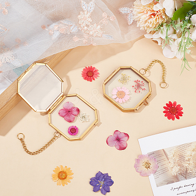 Octagon Brass Glass Hanging Photo Frame AJEW-WH0270-555B-1