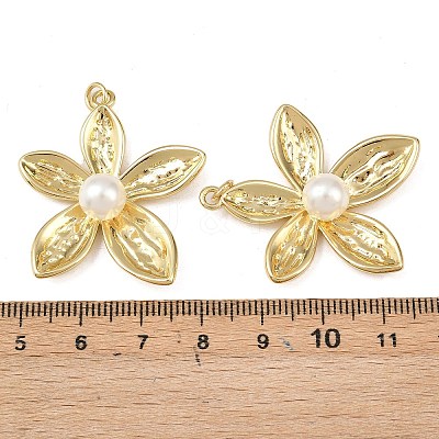 Brass Pendants KK-L255-23G-1