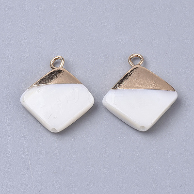 Electroplate Freshwater Shell Pendants X1-SHEL-S276-64-1