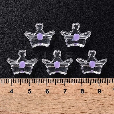 Transparent Acrylic Beads LS-MACR-S373-105-B02-1