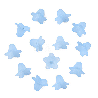 Transparent Acrylic Beads X-PLF018-06-1