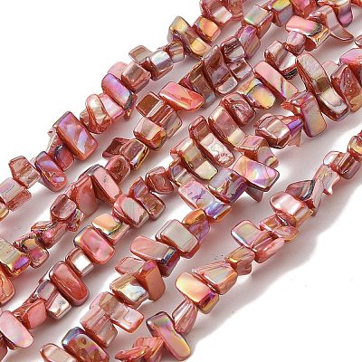 Natural Freshwater Shell Beads Strands BSHE-H018-07-1