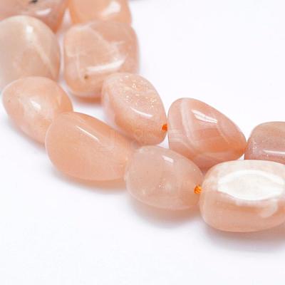 Natural Sunstone Beads Strands G-K203-11B-1