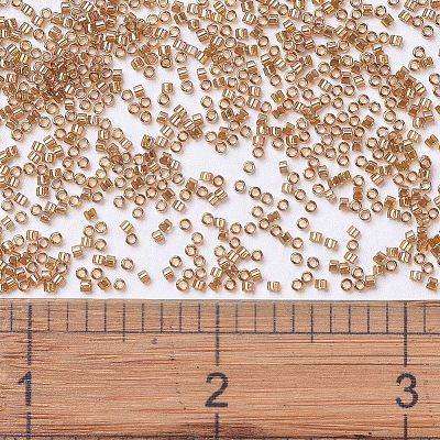 MIYUKI Delica Beads SEED-MY11-DB1241-1