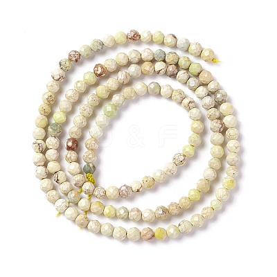 Natural Imperial Jasper Beads Strands G-L578-A07-1