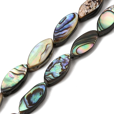 Natural Abalone Shell Paua Shell Beads Strands SH-CBA69D1-01-1