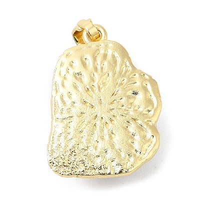 Rack Plating Brass Pendants KK-C033-04G-06-1
