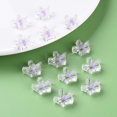 Transparent Acrylic Beads MACR-S373-105-B02-1