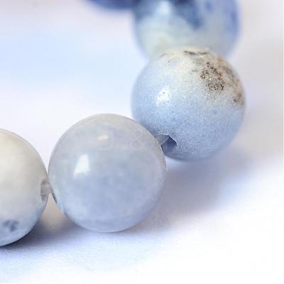 Natural Sodalite Round Bead Strands G-E334-10mm-08-1