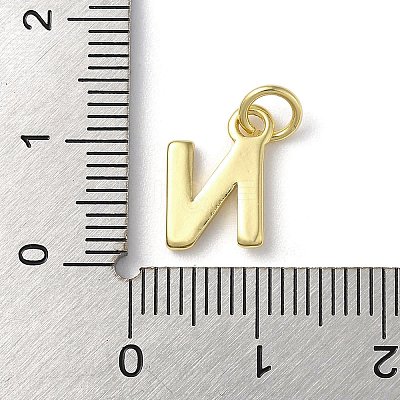Rack Plating Brass Charms KK-P245-06G-N-1