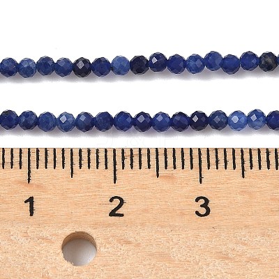 Natural Sodalite Beads Strands G-D306-A01-2mm-A-1