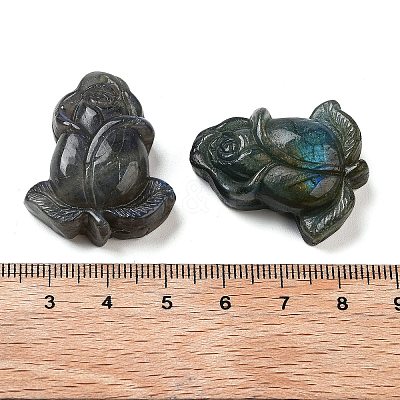 Natural Labradorite Carved Cabochons G-C152-08-1