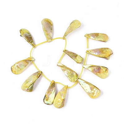 AB Color Plated Dyed Natural Freshwater Shell Beads Strands SHEL-T020-55D-1