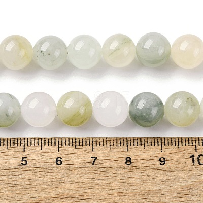 Natural Gemstone Beads Strands G-F808-C02-10mm-1
