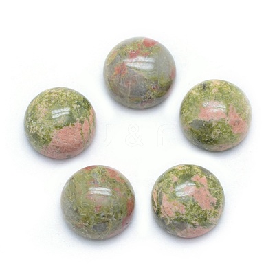 Natural Unakite Cabochons LS-G-P393-R31-10mm-1