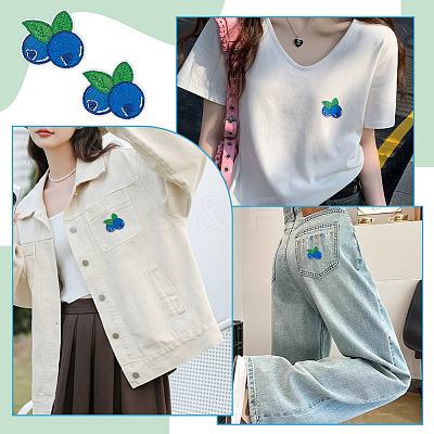 24Pcs Blueberry Computerized Embroidery Cloth Iron On/Sew On Patches PATC-BC0001-24-1