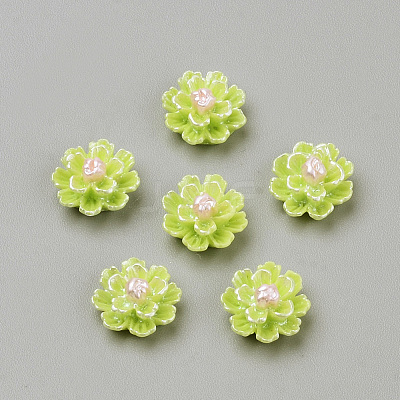 Imitation Pearl Resin Cabochons CRES-S301-24-1