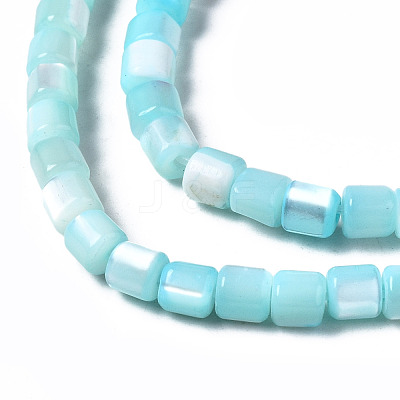 Natural Trochid Shell/Trochus Shell Bead Strands SSHEL-N034-77-C04-1