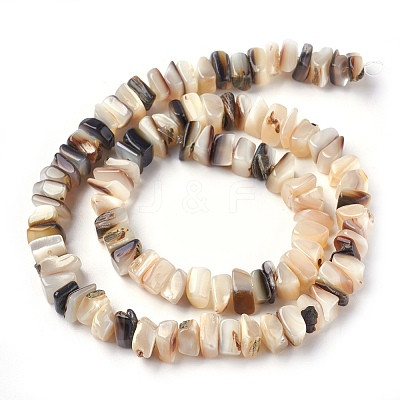 Freshwater Shell Beads Strands X-BSHE-O017-09-1