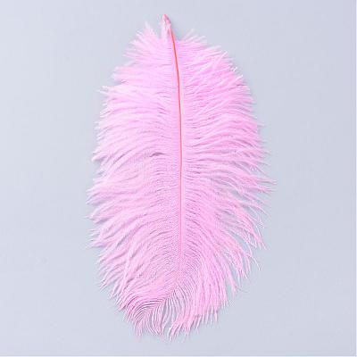 Ostrich Feather Costume Accessories FIND-R036-A-15-1
