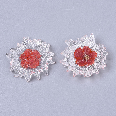 Transparent Clear Epoxy Resin Cabochons LS-CRES-N025-02F-1