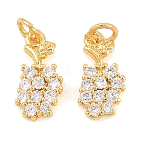Brass Micro Pave Cubic Zirconia Charms KK-F927-17G-1