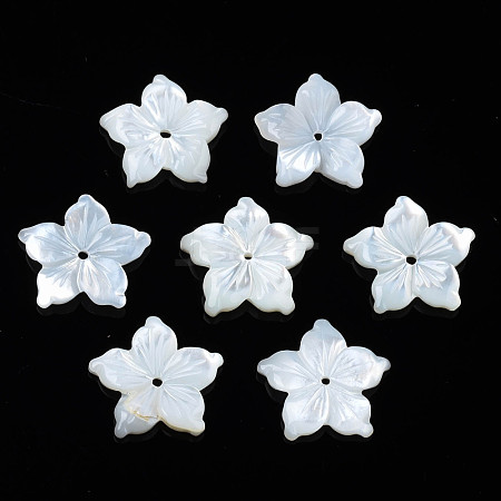 Natural White Shell Beads SSHEL-N027-131A-01-1