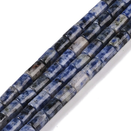 Natural Blue Spot Jasper Beads Strands G-C128-A27-01-1