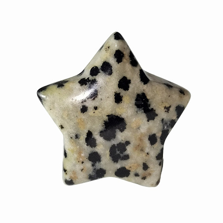 Natural Dalmatian Jasper Home Display Decorations G-PW0007-124B-1