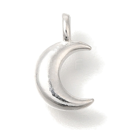 925 Sterling Silver Charms STER-G043-05B-S-1