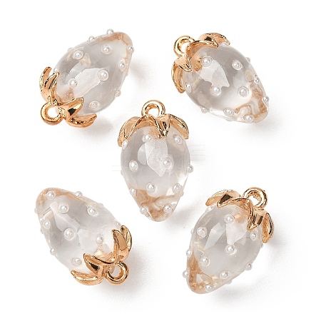 Resin Pendants FIND-C096-01G-05-1