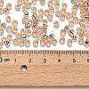 TOHO 6/0 Round Beads SEED-XTR06-0031-3