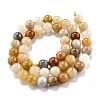 Natural Golden Silk Jade Beads Strands G-O199-04C-2