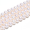 Natural Cultured Freshwater Pearl Beads Strands PEAR-N016-06C-2