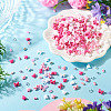 Mixed Styles Acrylic Beads SACR-TA0001-81B-5