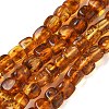 Natural Amber Beads Strands G-K387-E01-01-2